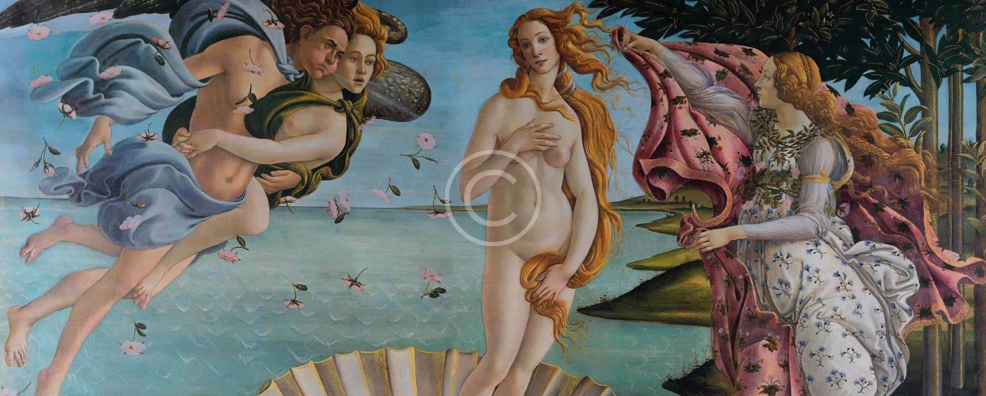 venera-image-copyright